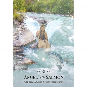 Angels of Nature Oracle kortos Hay House
